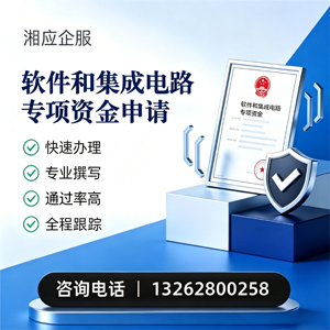 滨州软件和集成电路专项资金申报服务
