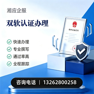 滨州双软认证申报服务