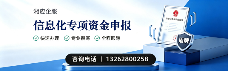 滨州信息化专项资金申报服务