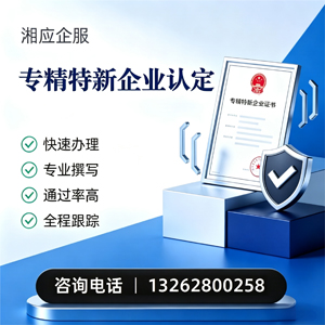 滨州专精特新企业申报服务