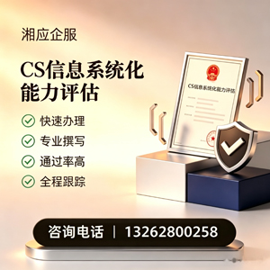 滨州CS信息系统化能力评估申报服务