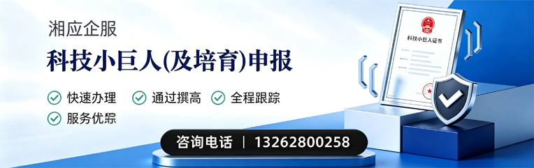 滨州科技小巨人及培育企业申报服务