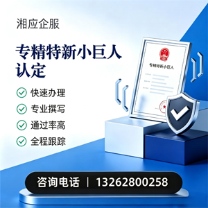 滨州专精特新小巨人申报服务