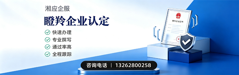 滨州瞪羚企业认定申报服务