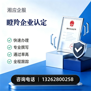 滨州瞪羚企业认定申报服务