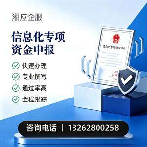 滨州信息化专项资金申报服务