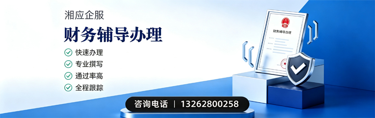 滨州财务辅导申请服务