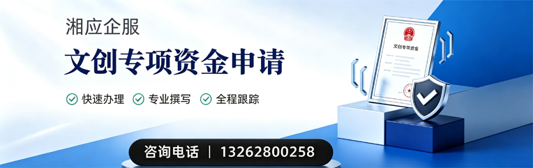 滨州文创专项资金申报服务