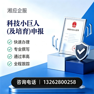 滨州科技小巨人及培育企业申报服务