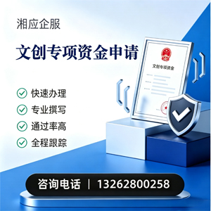 滨州文创专项资金申报服务