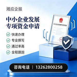 滨州中小企业发展专项资金申报服务