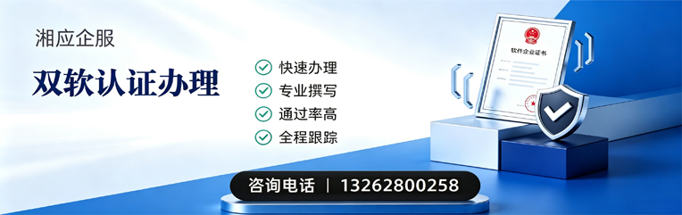 滨州双软认证申报服务