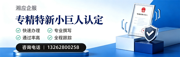滨州专精特新小巨人申报服务